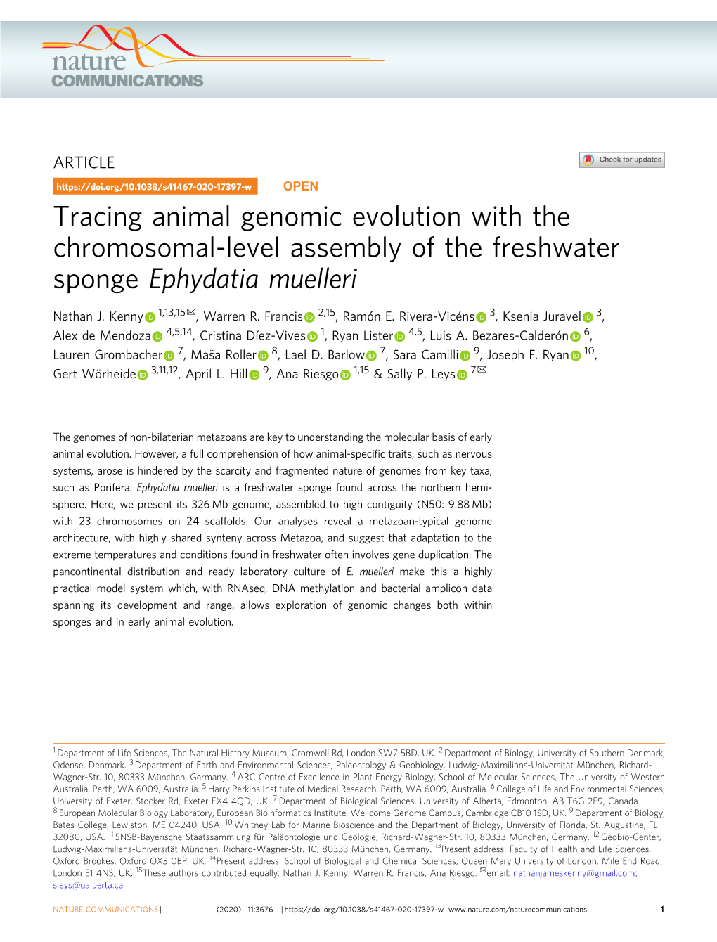 Tracing Animal Genomic Evolution with the Chromosomal-Level Assembly of the Freshwater Sponge Ephydatia Muelleri ✉ Nathan J