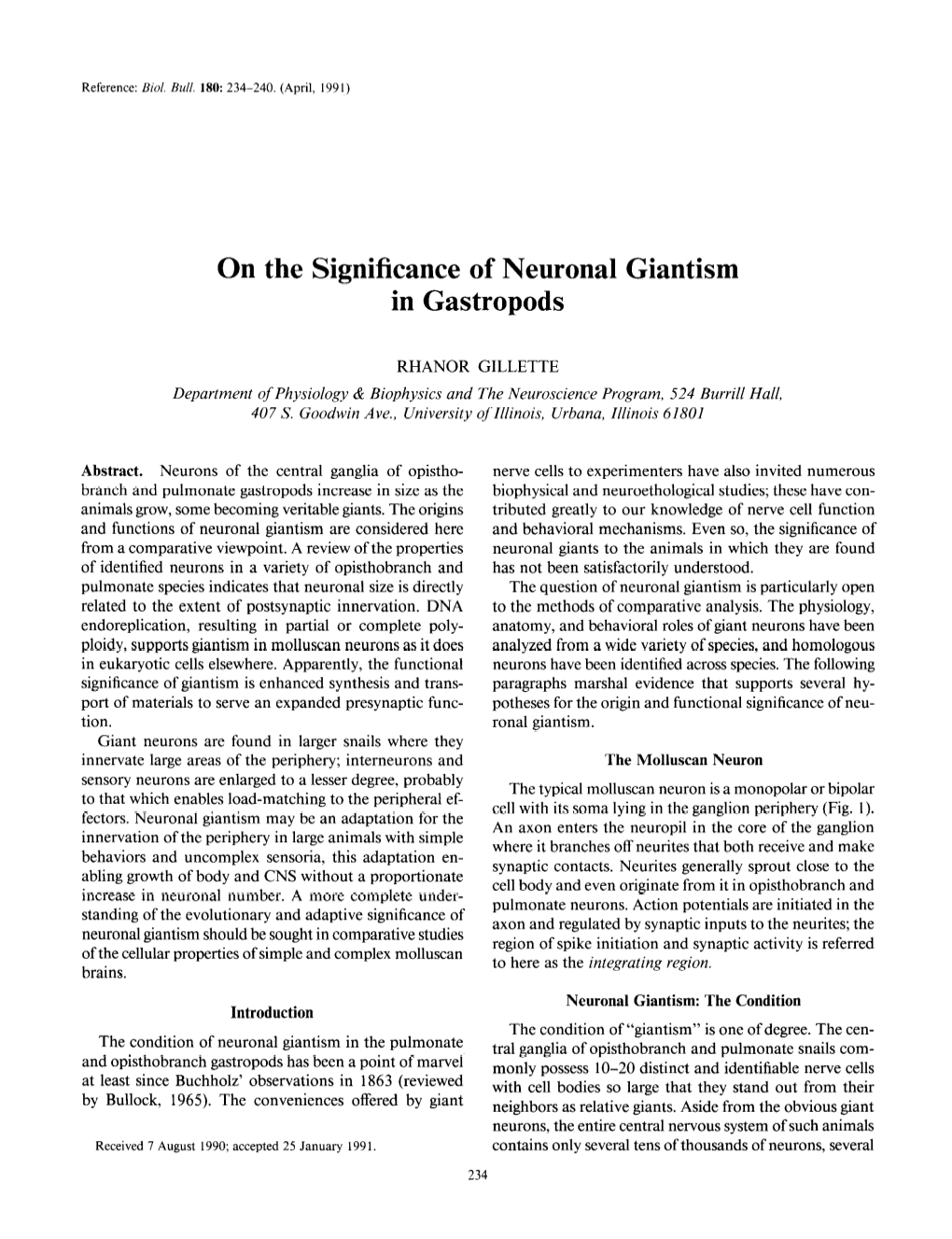On the Significance of Neuronal Giantism in Gastropods
