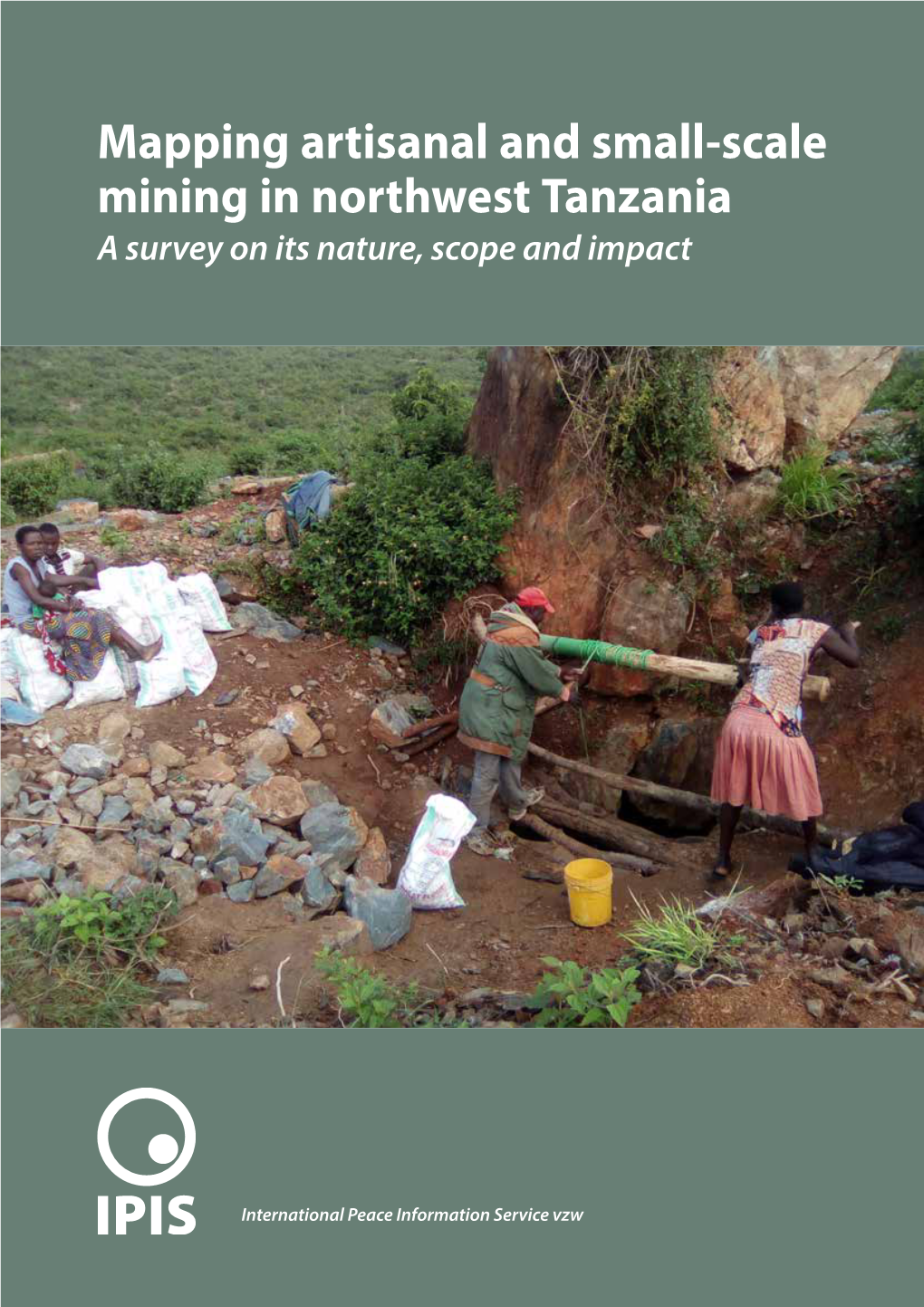 Mapping Artisanal and Small-Scale Mining in Northwest Tanzania a Survey on Its Nature, Scope and Impact