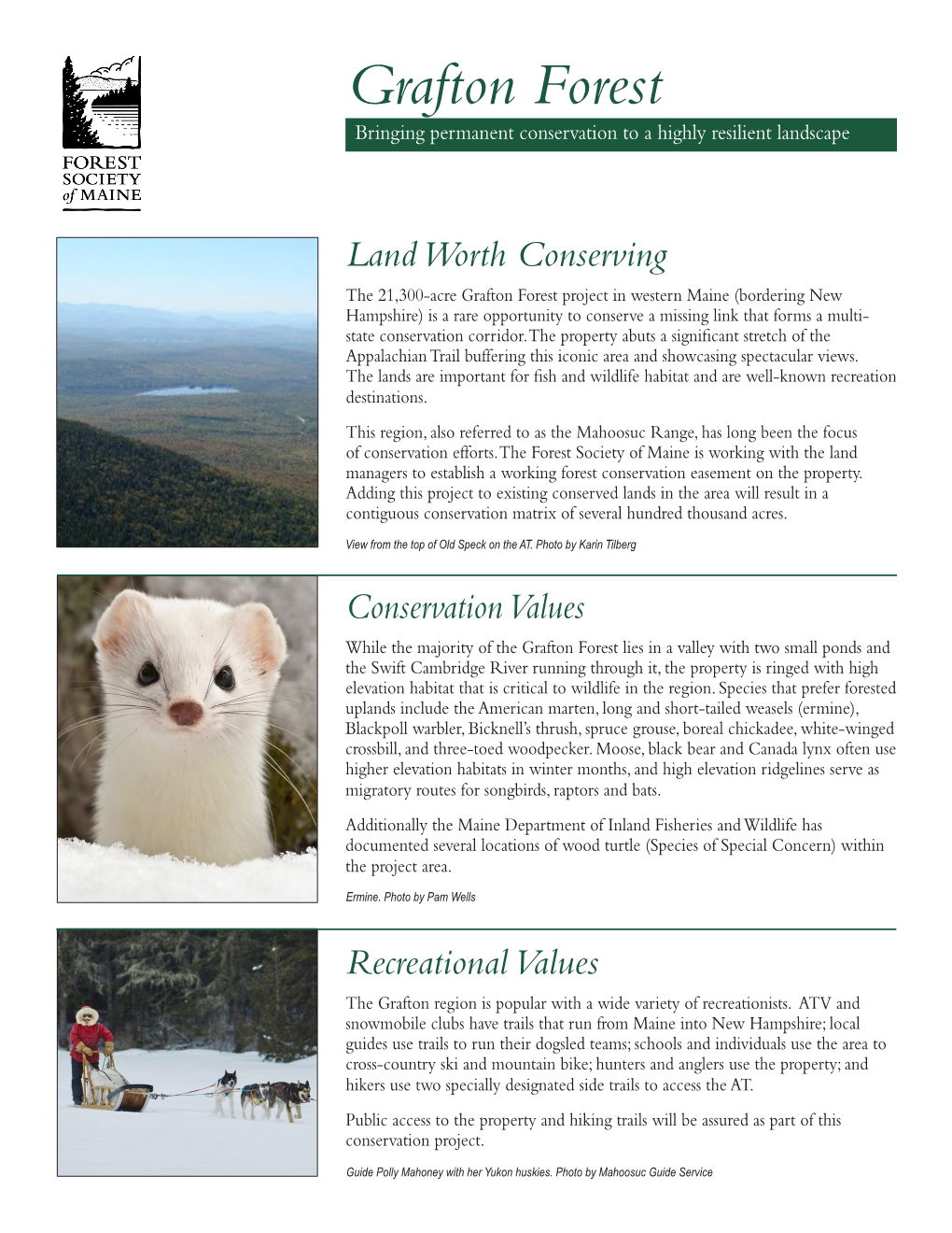 Grafton Forest Project Handout