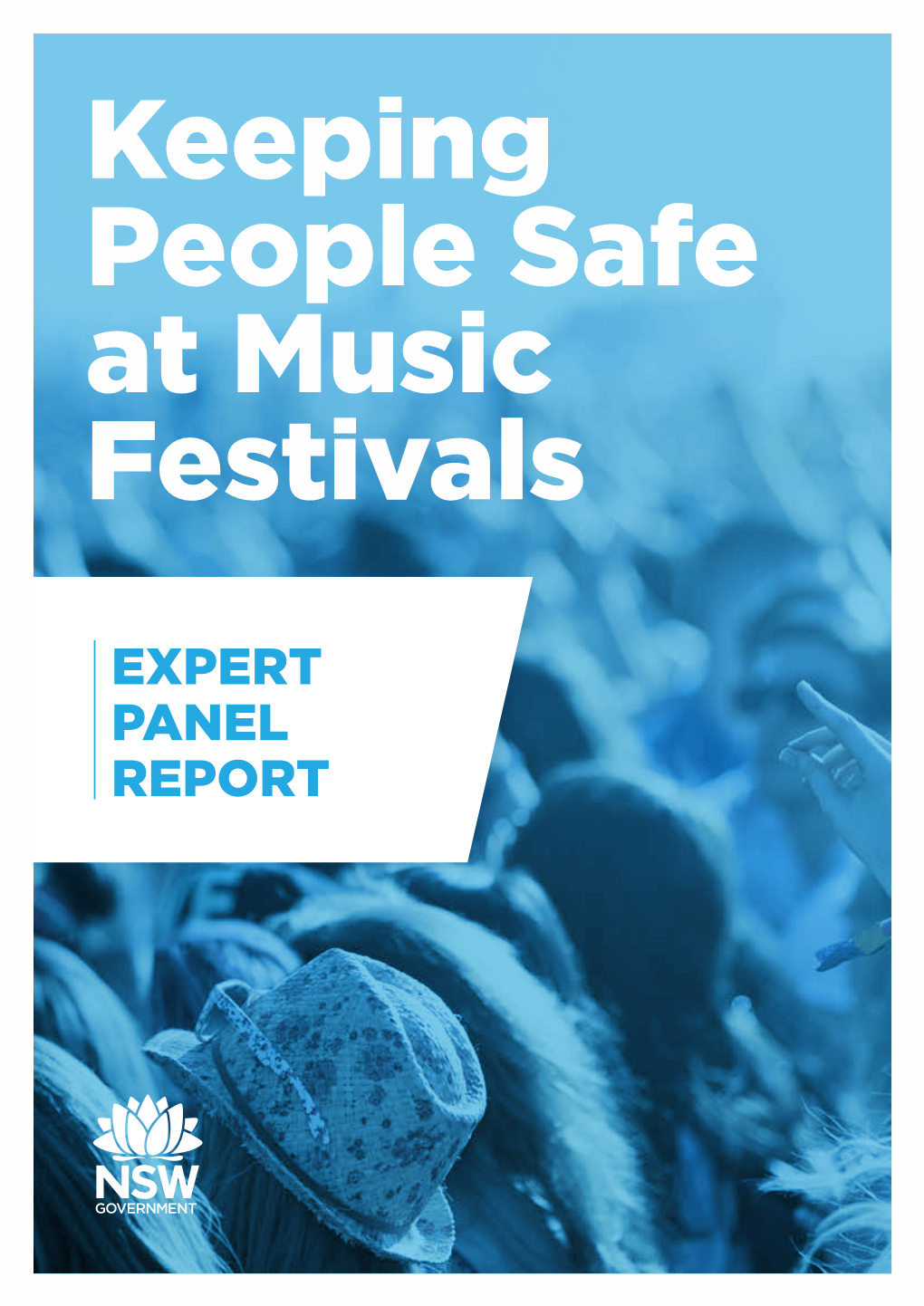 Music Festival Report