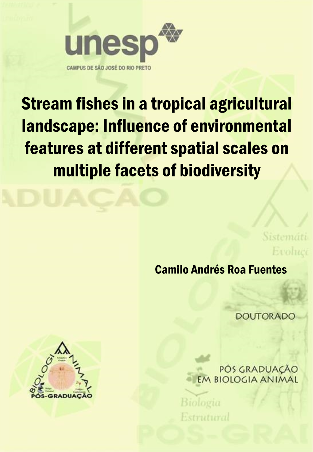 Stream Fishes in a Tropical Agricultural Landscape: Influence of Environmental Features at Different Spatial Scales on Multiple Facets of Biodiversity