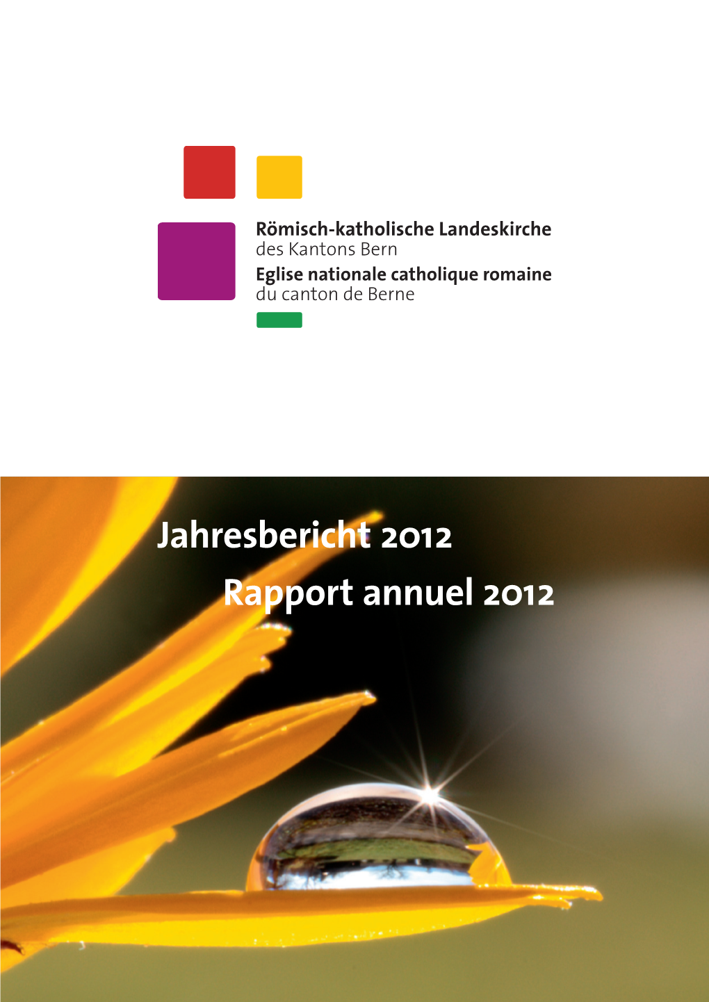 Jahresbericht 2012 Rapport Annuel 2012