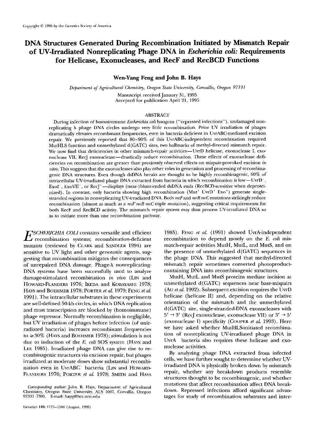 DNA Structures Generated During Recombination Initiated By