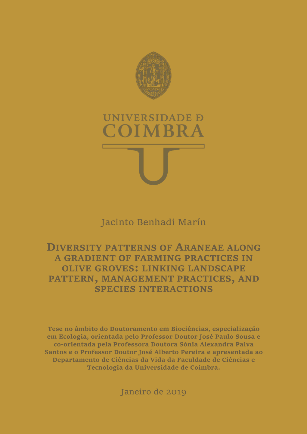 Diversity Patterns of Araneae Along a Gradient of Farming Practices in Olive Groves: Linking Landscape Pattern, Management Practices, and Species Interactions