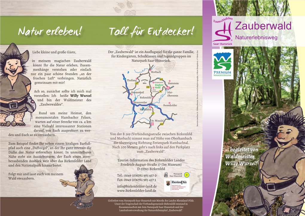 Flyer Traumschleifchen Zauberwald