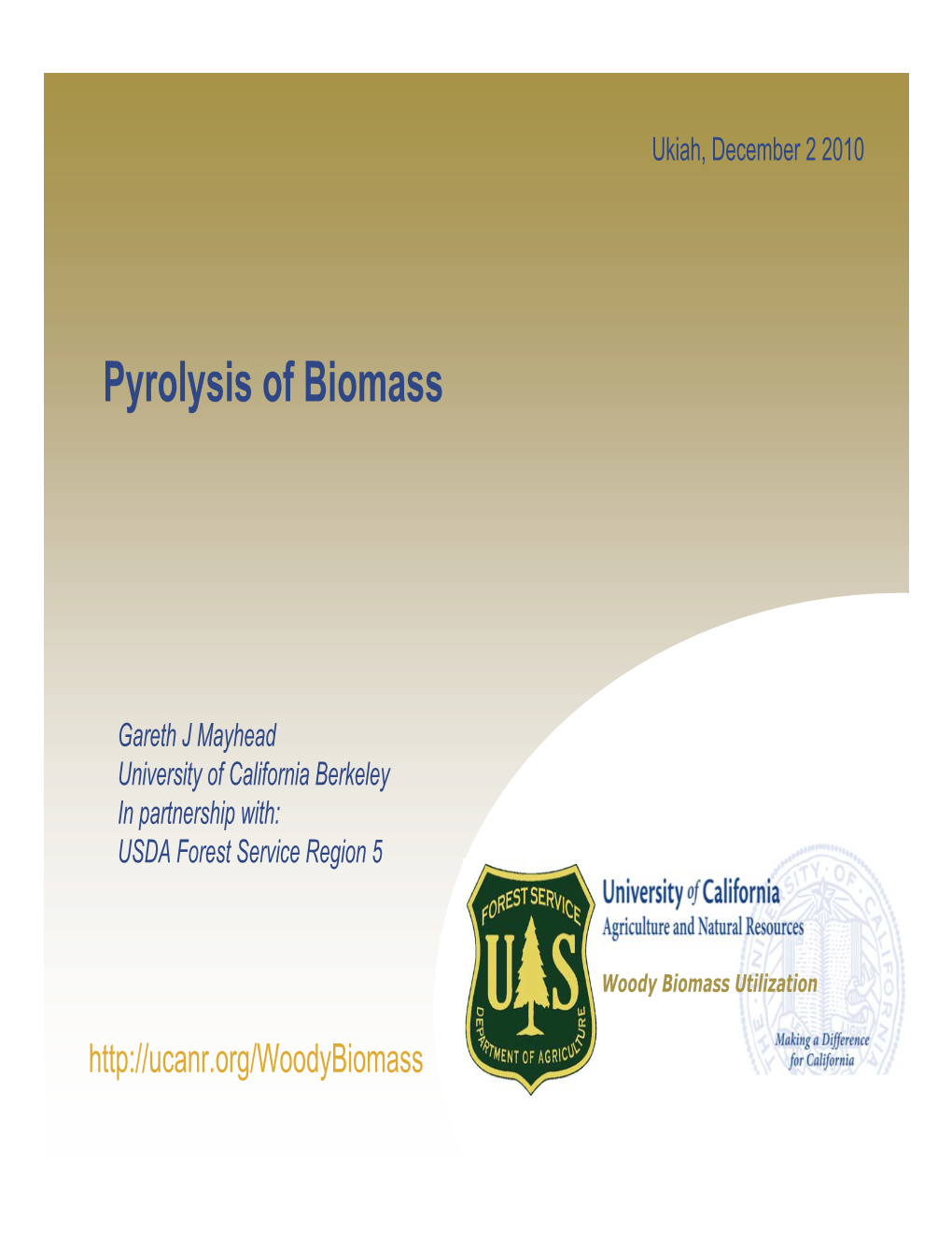 Pyrolysis of Biomass