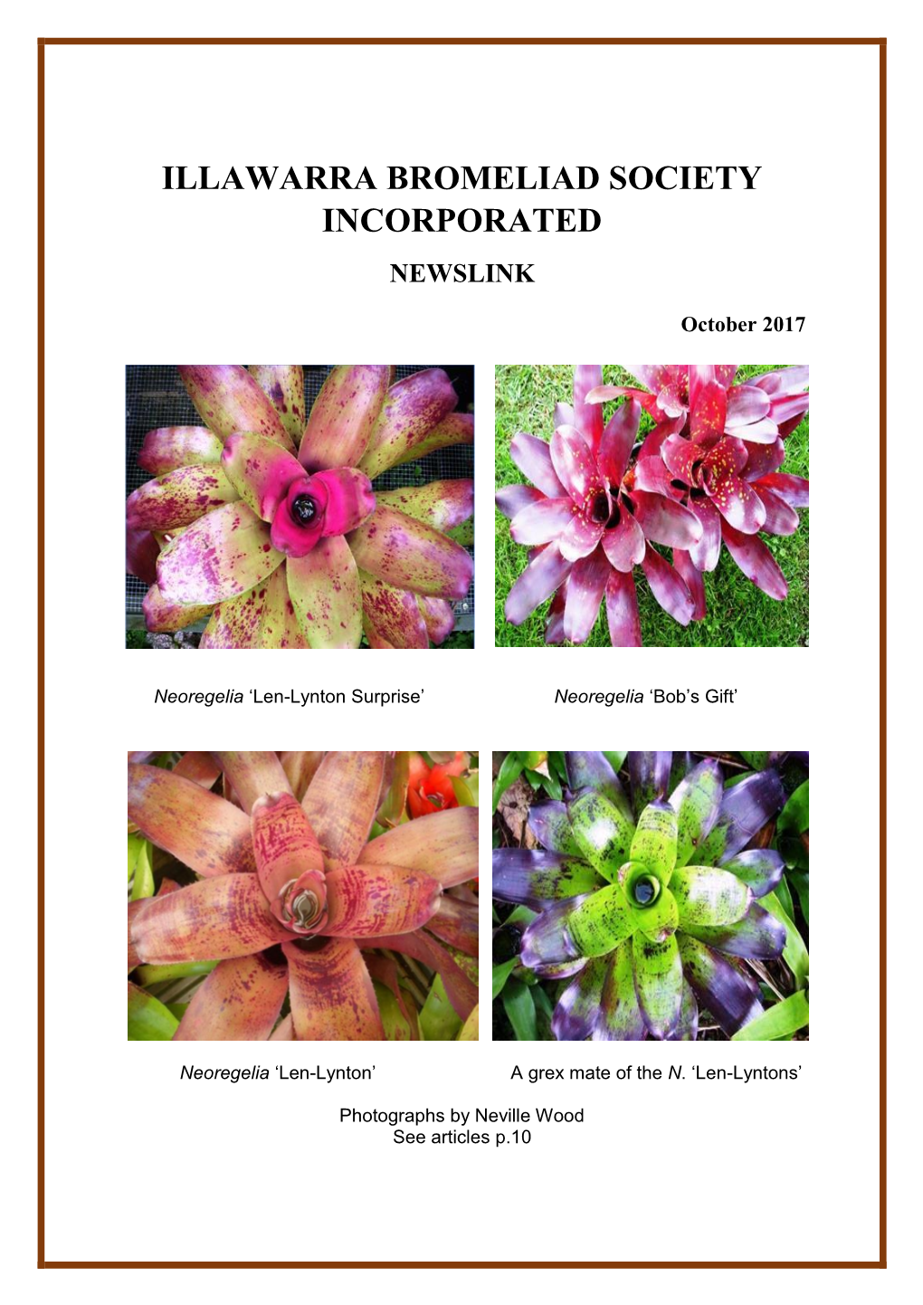 Illawarra Bromeliad Society Incorporated