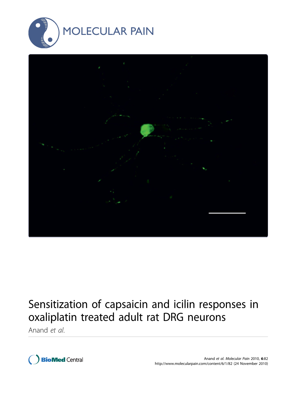 Sensitization of Capsaicin and Icilin Responses in Oxaliplatin Treated Adult Rat DRG Neurons Anand Et Al