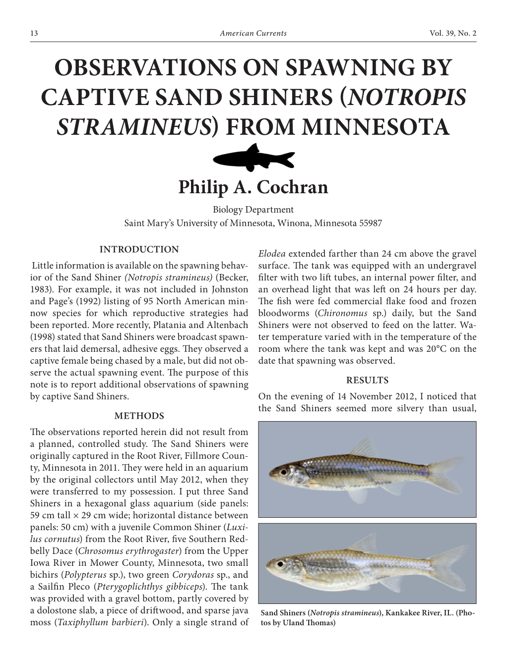 Observations on Spawning by Captive Sand Shiners (Notropis Stramineus) from Minnesota