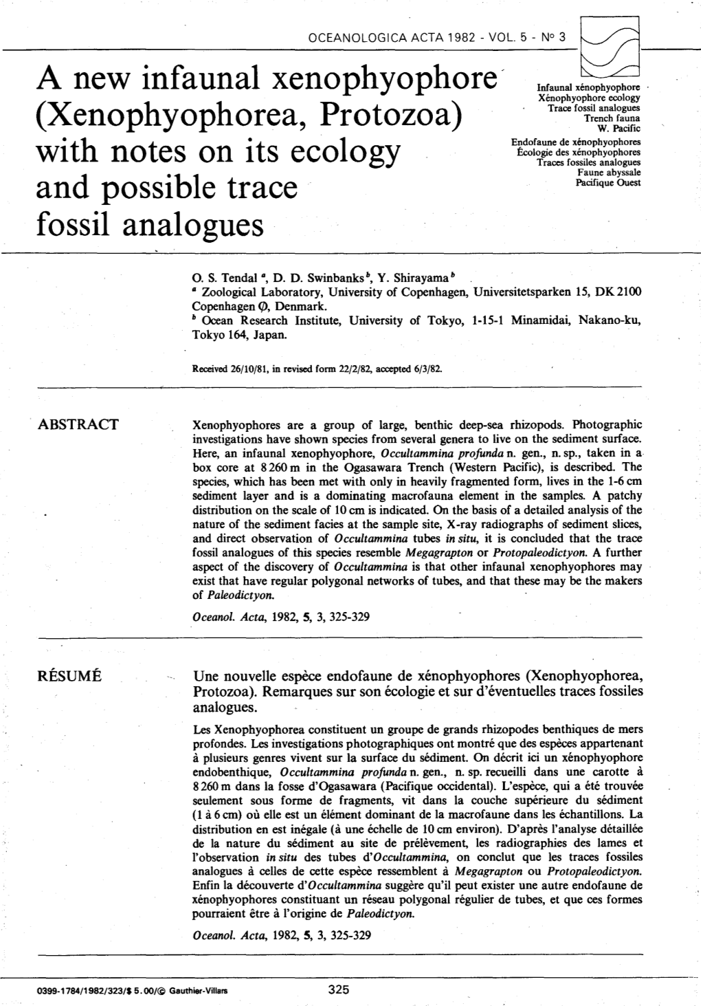 A New Infaunal Xenophyophore (Xenophyophorea