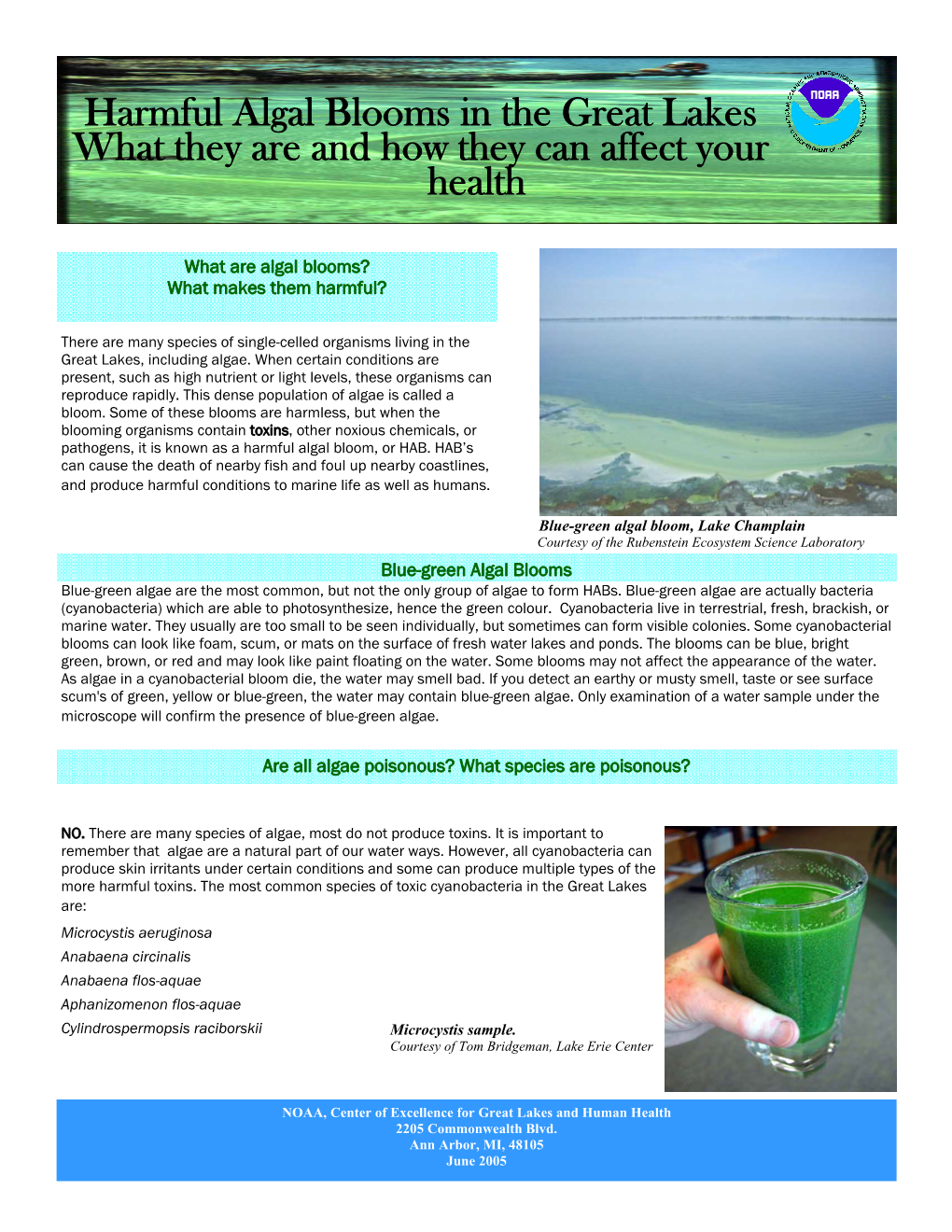 Bluegreen Algae Fact Sheet.Pub
