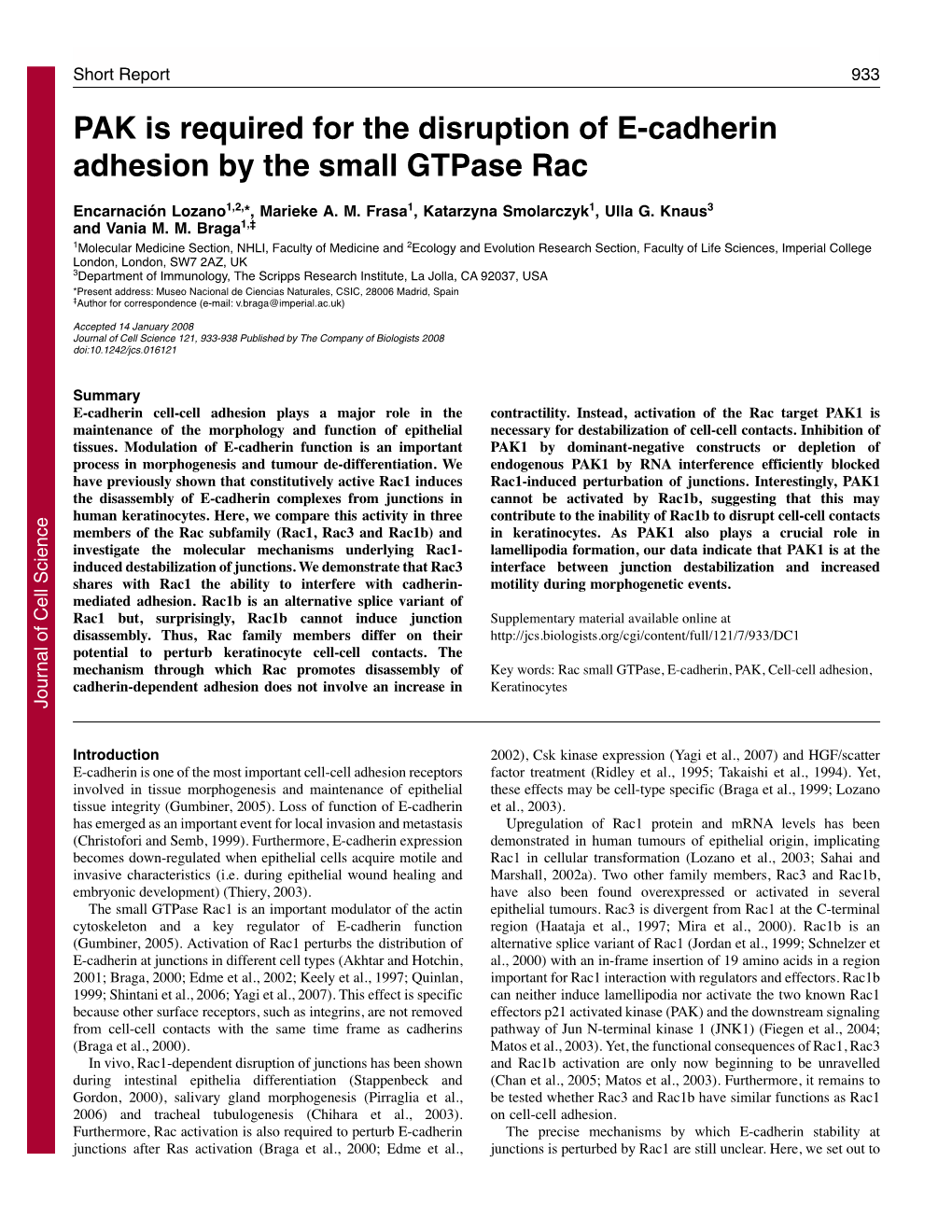 PAK Is Required for the Disruption of E-Cadherin Adhesion by the Small Gtpase Rac