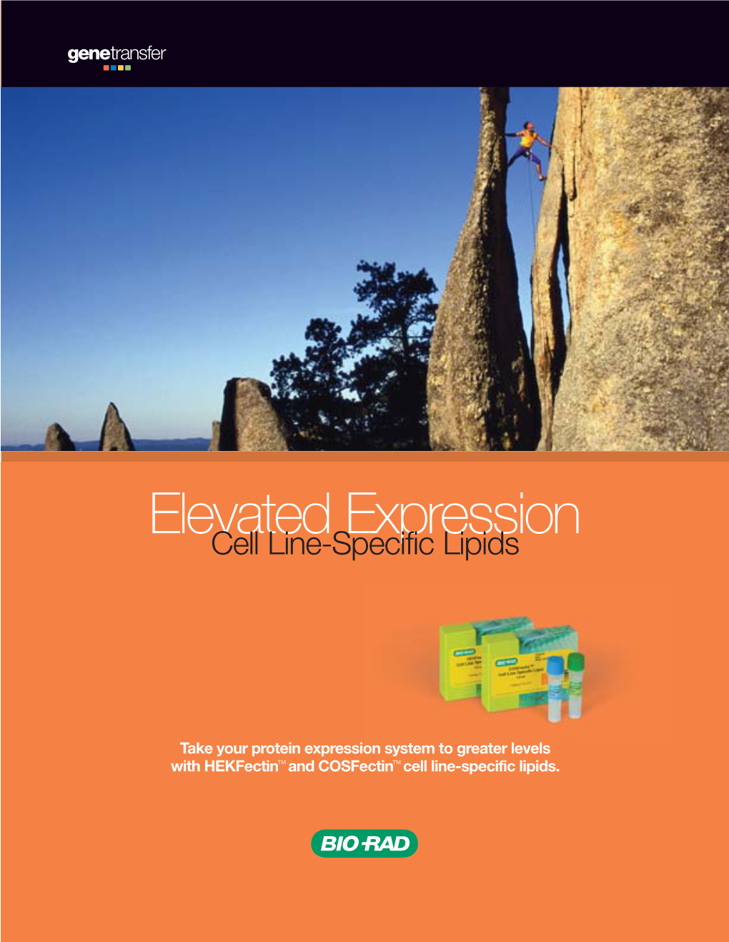 Elevated Expression Cell Line-Specific Lipids