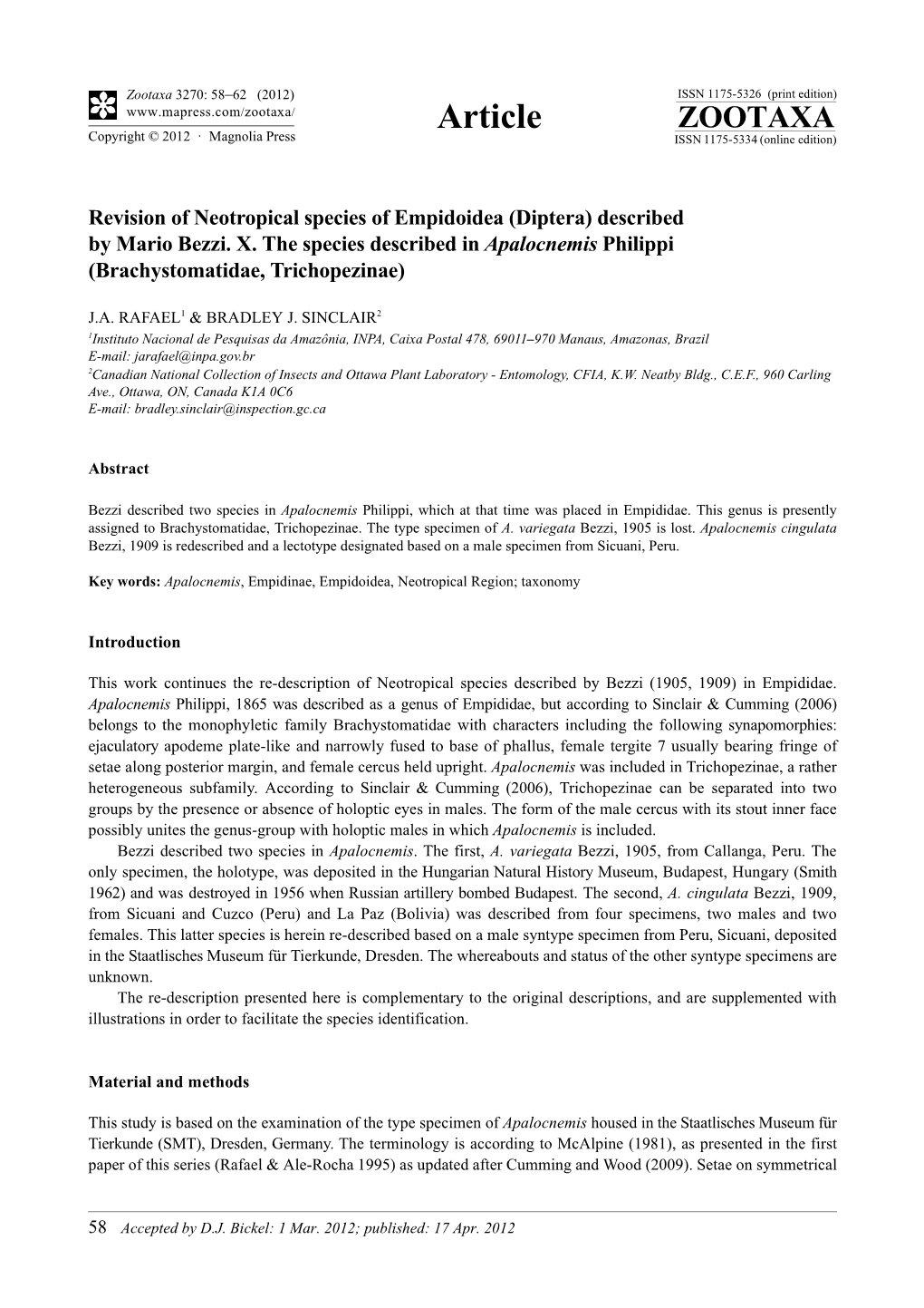 Revision of Neotropical Species of Empidoidea (Diptera) Described by Mario Bezzi. X. the Species Described in Apalocnemis Philippi (Brachystomatidae, Trichopezinae)