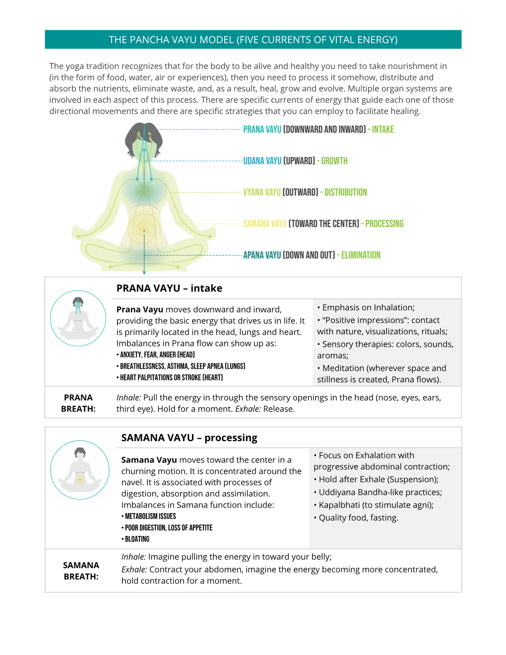 The Pancha Vayu Model (Five Currents of Vital Energy)