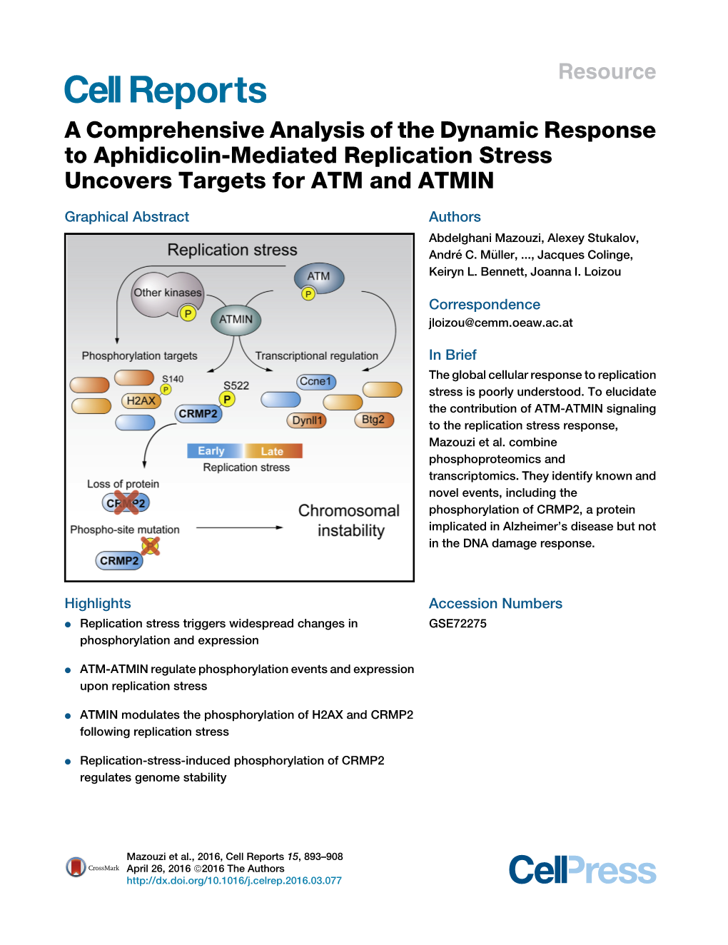 A Comprehensive Analysis of the Dynamic Response to Aphidicolin-Mediated Replication Stress Uncovers Targets for ATM and ATMIN