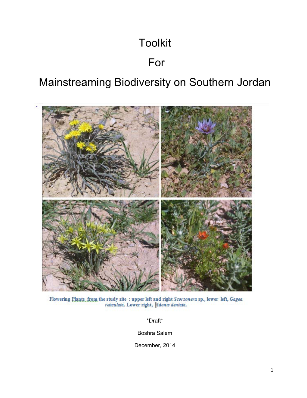 Toolkit for Mainstreaming Biodiversity on Southern Jordan