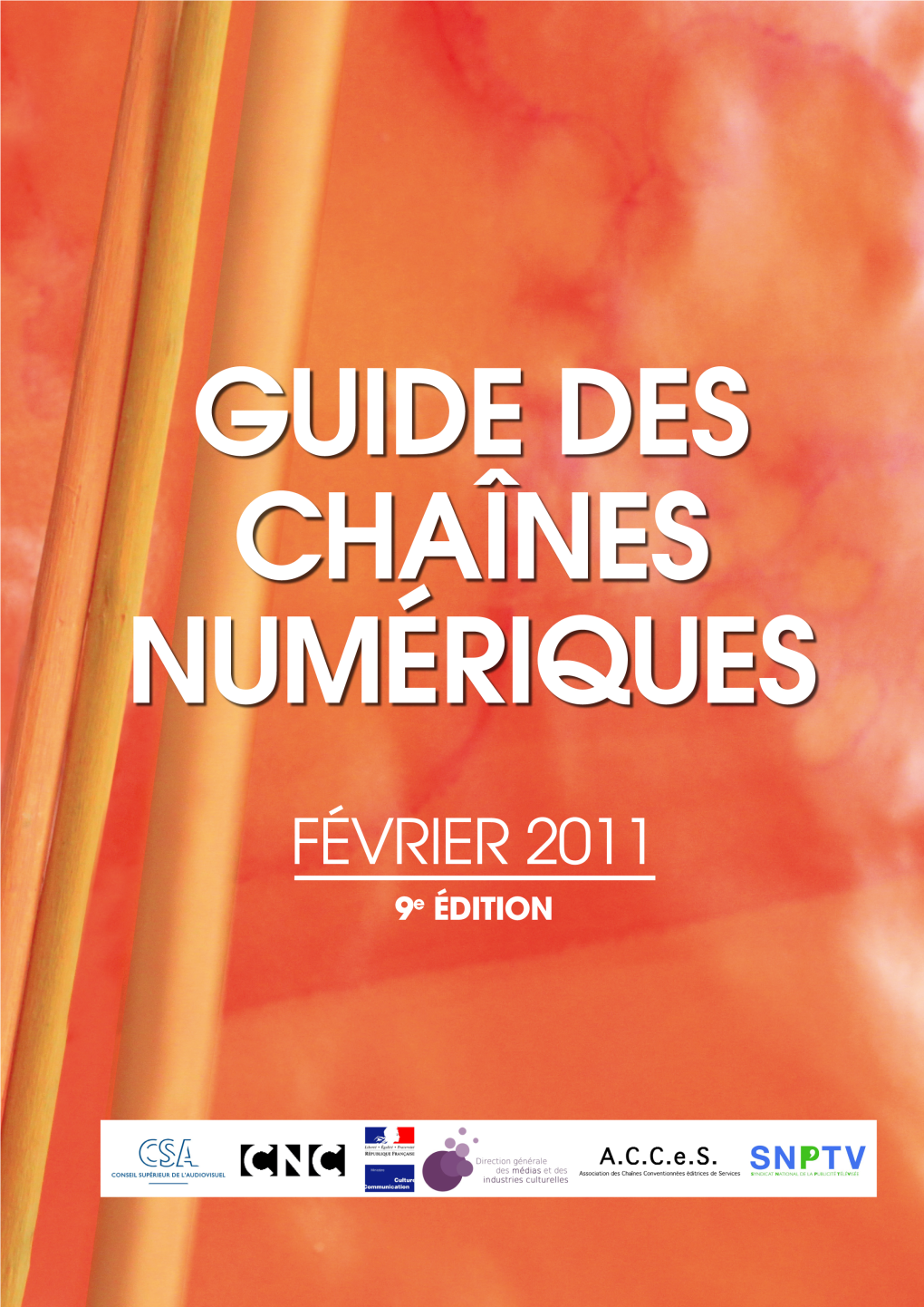 Guide Chaines Numeriques 201