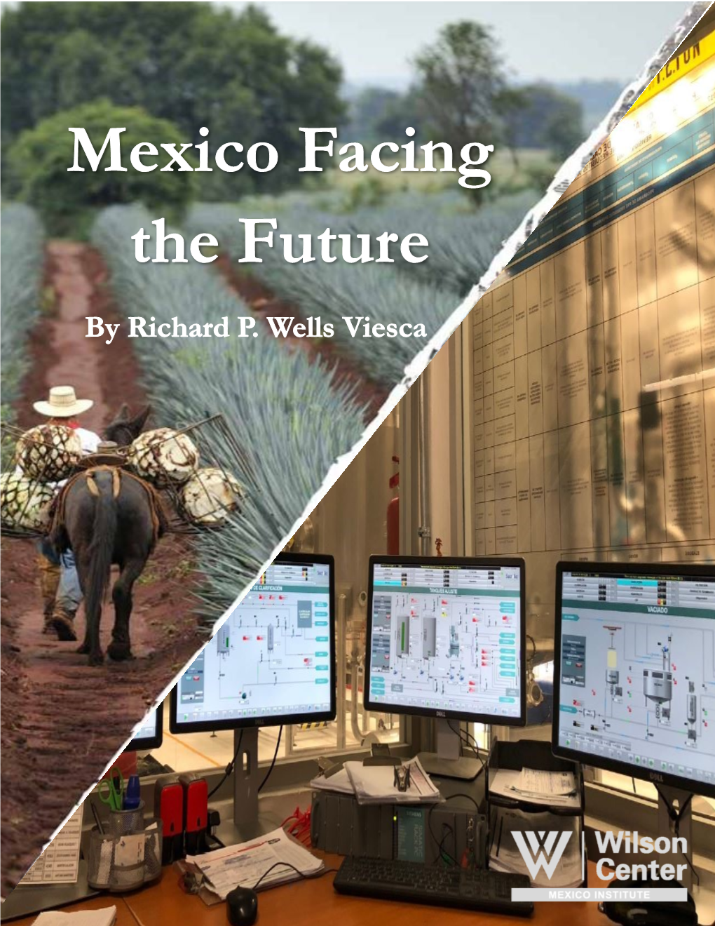 Mexico Facing the Future