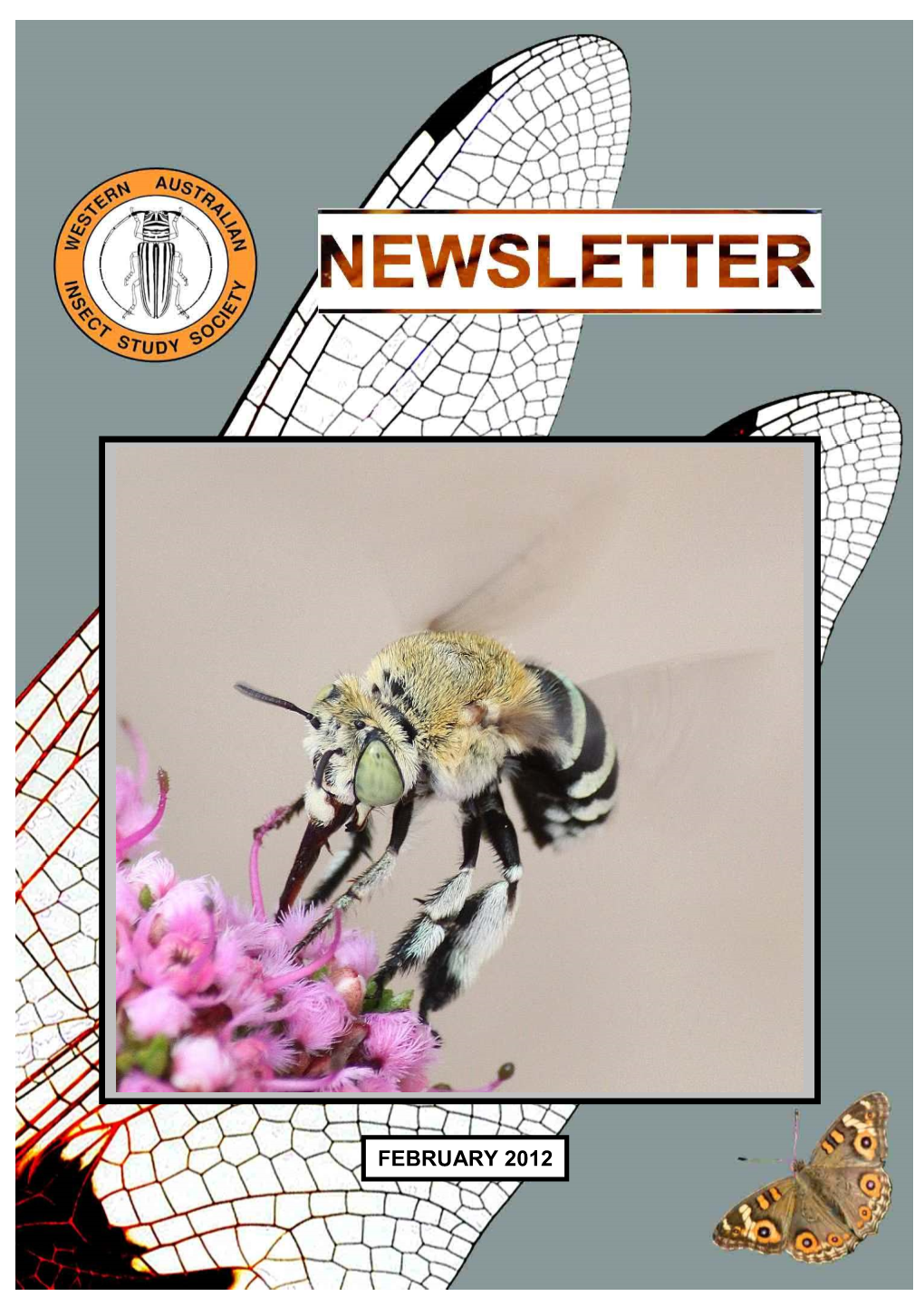 February 2012 Western Australian Insect Study Society Inc