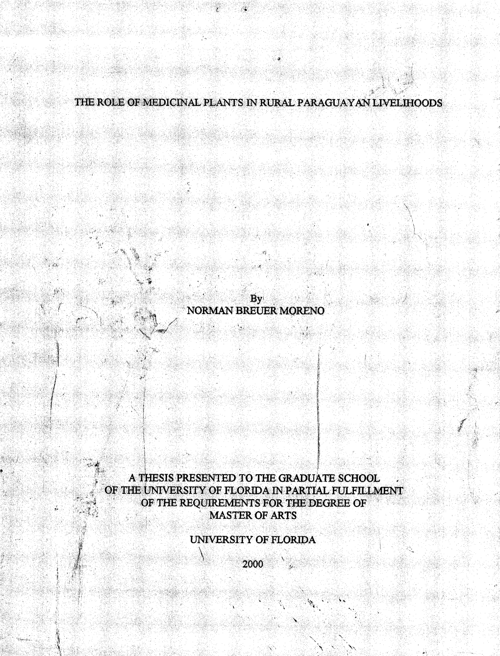 Effect of Distance to Market on Size of Medicinal Plant Garden