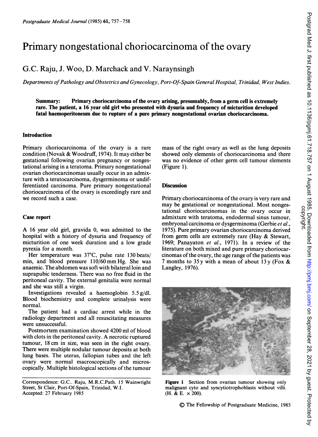 Primary Nongestational Choriocarcinoma of the Ovary