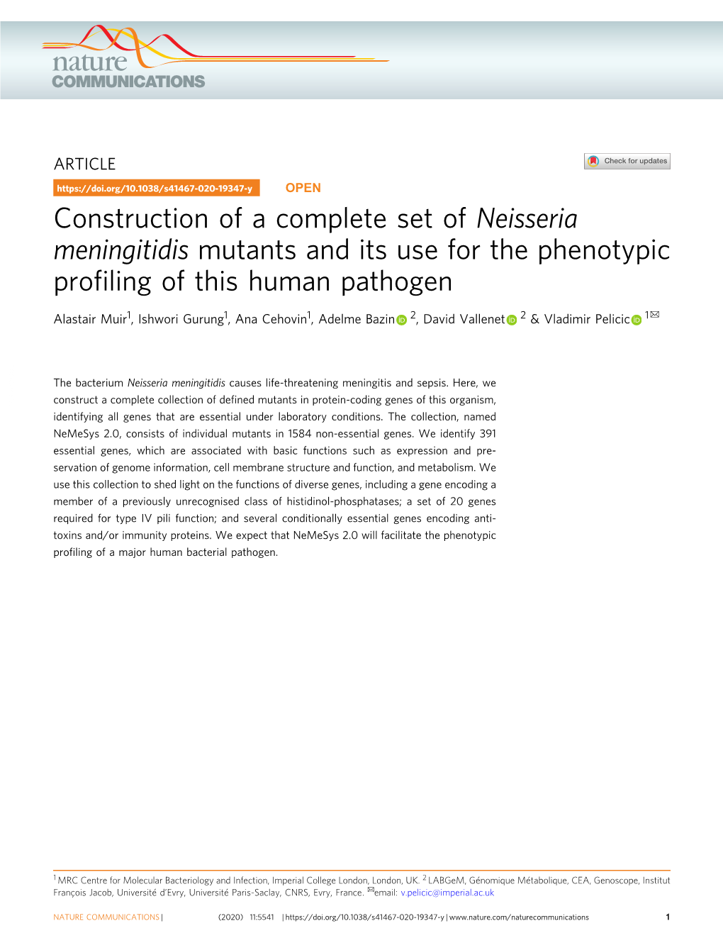 Neisseria Meningitidis