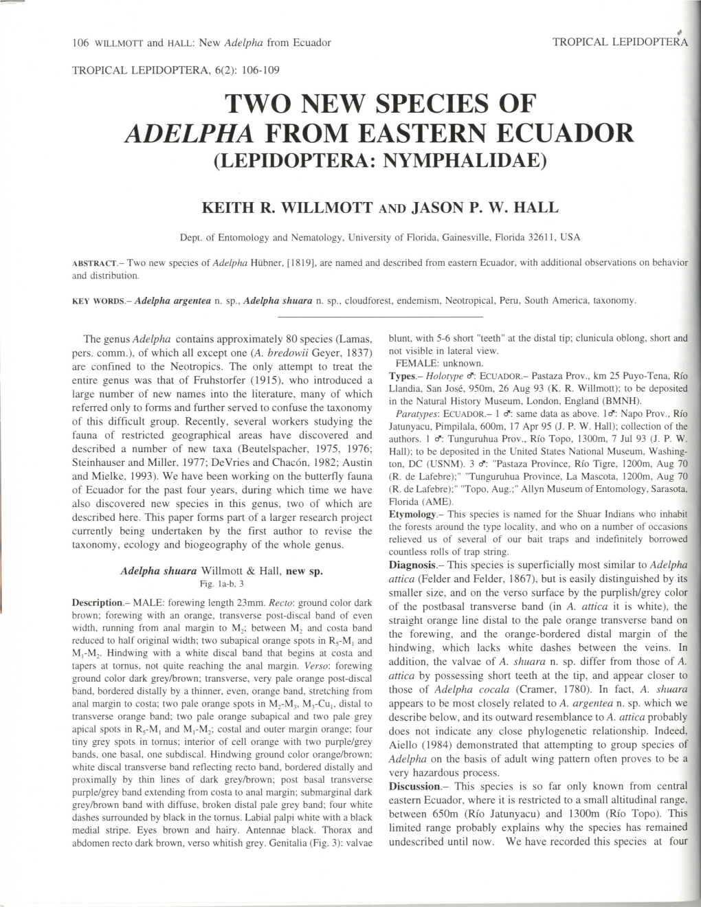 Two New Species of Adelpha from Eastern Ecuador (Lepidoptera: Nymphalidae)