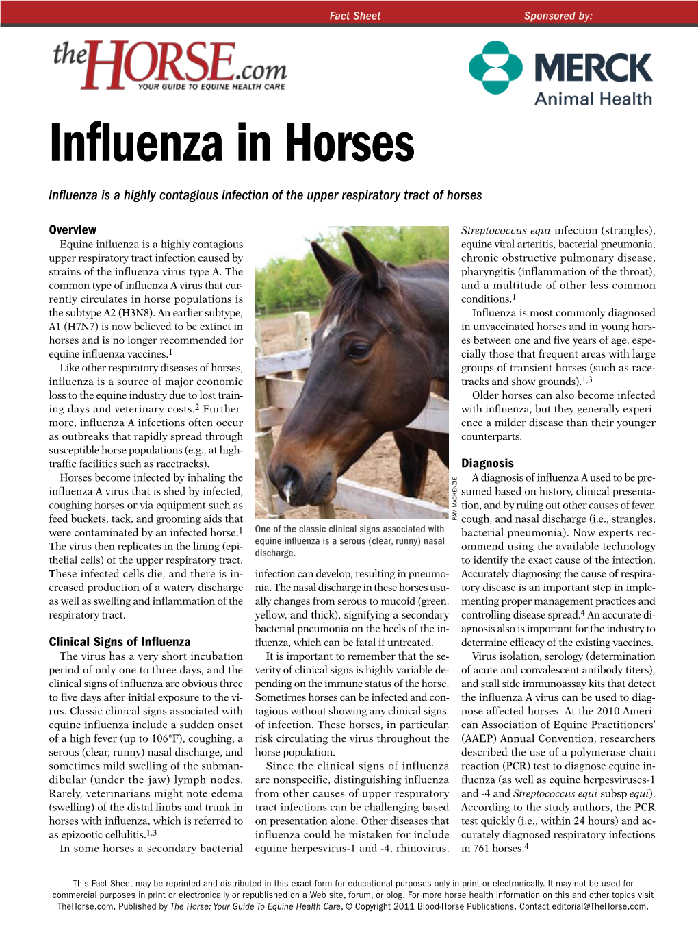 Equine Influenza
