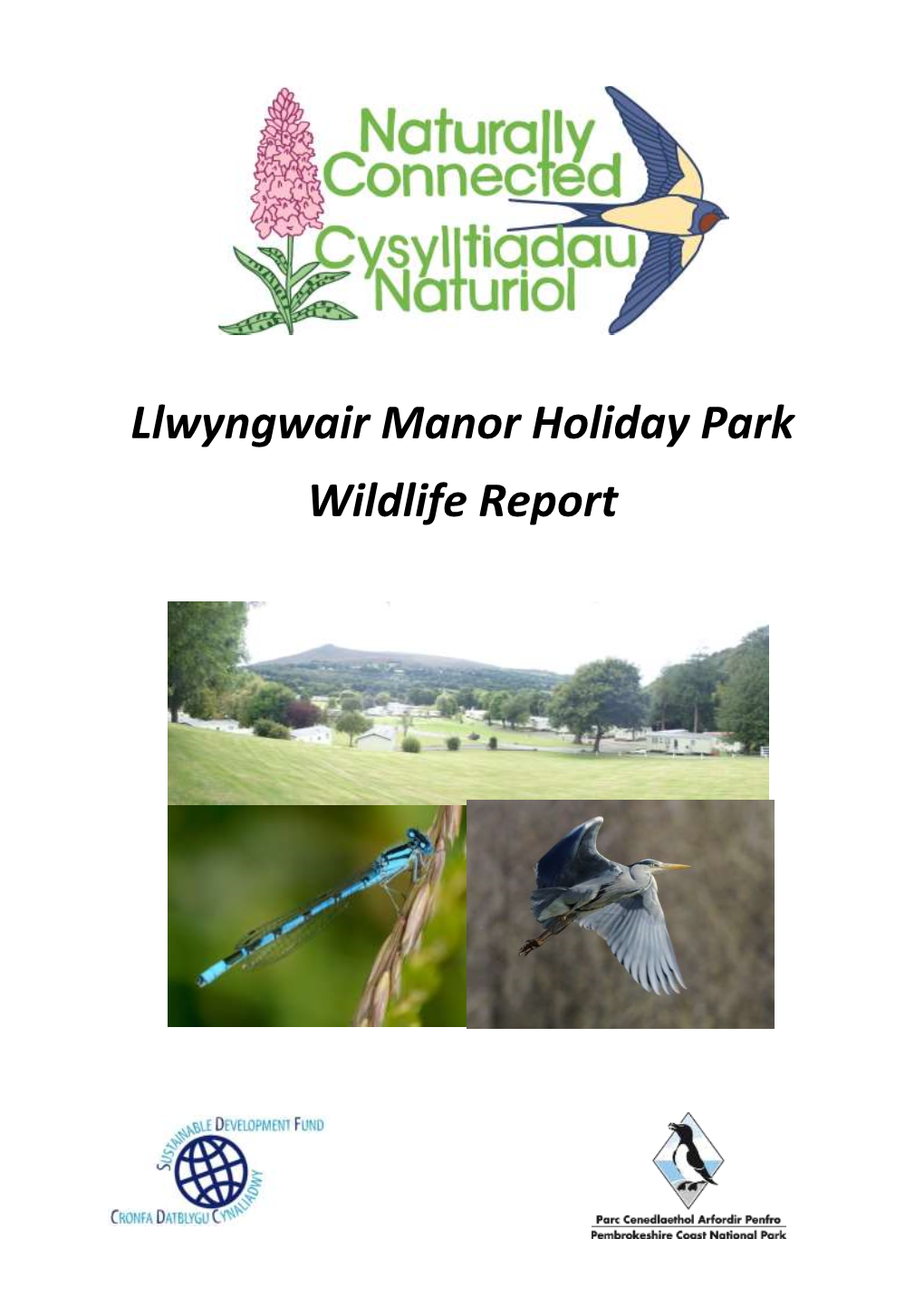 Llwyngwair Manor Holiday Park Wildlife Report
