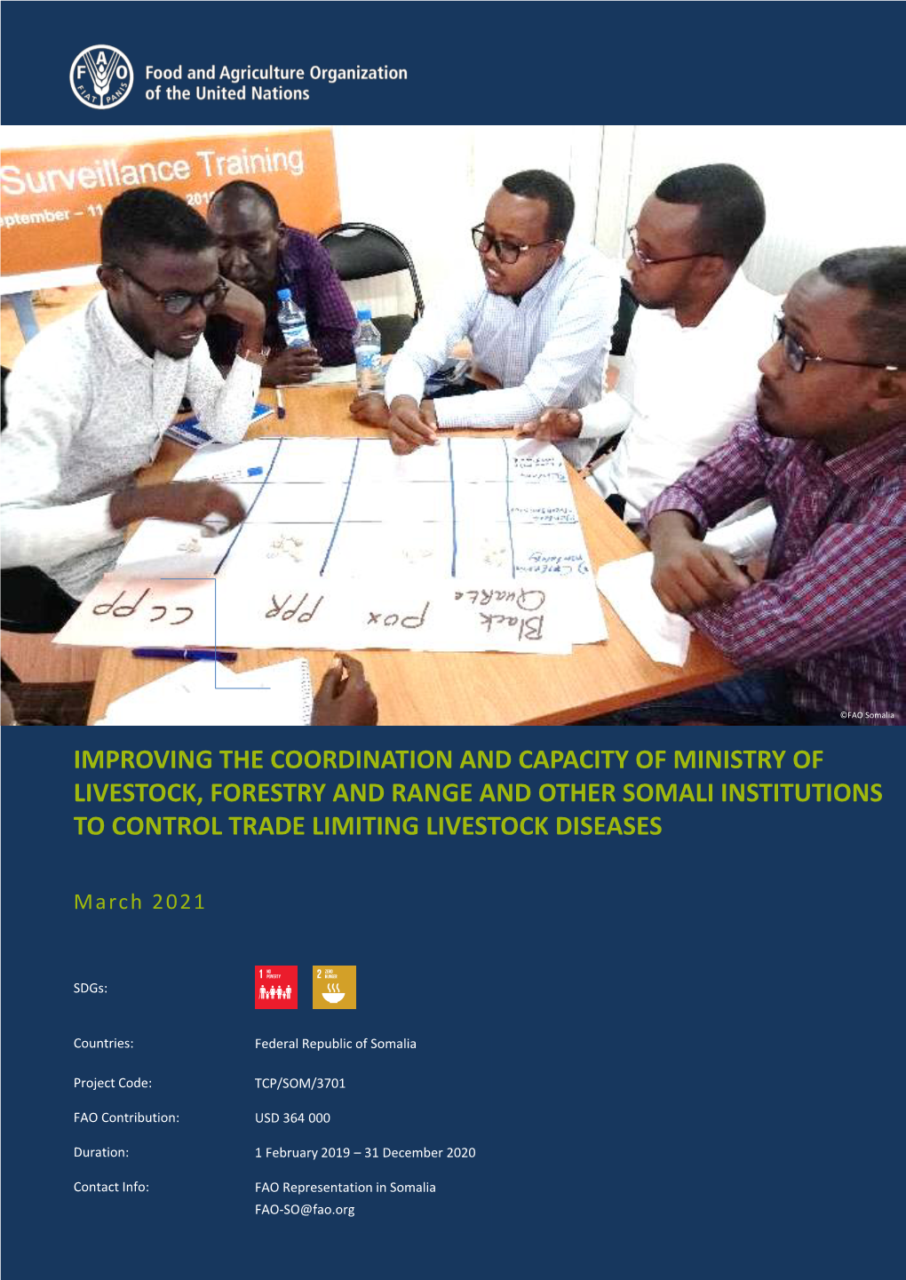 Improving the Coordination and Capacity of Ministry of Livestock, Forestry and Range and Other Somali Institutions to Control Trade Limiting Livestock Diseases