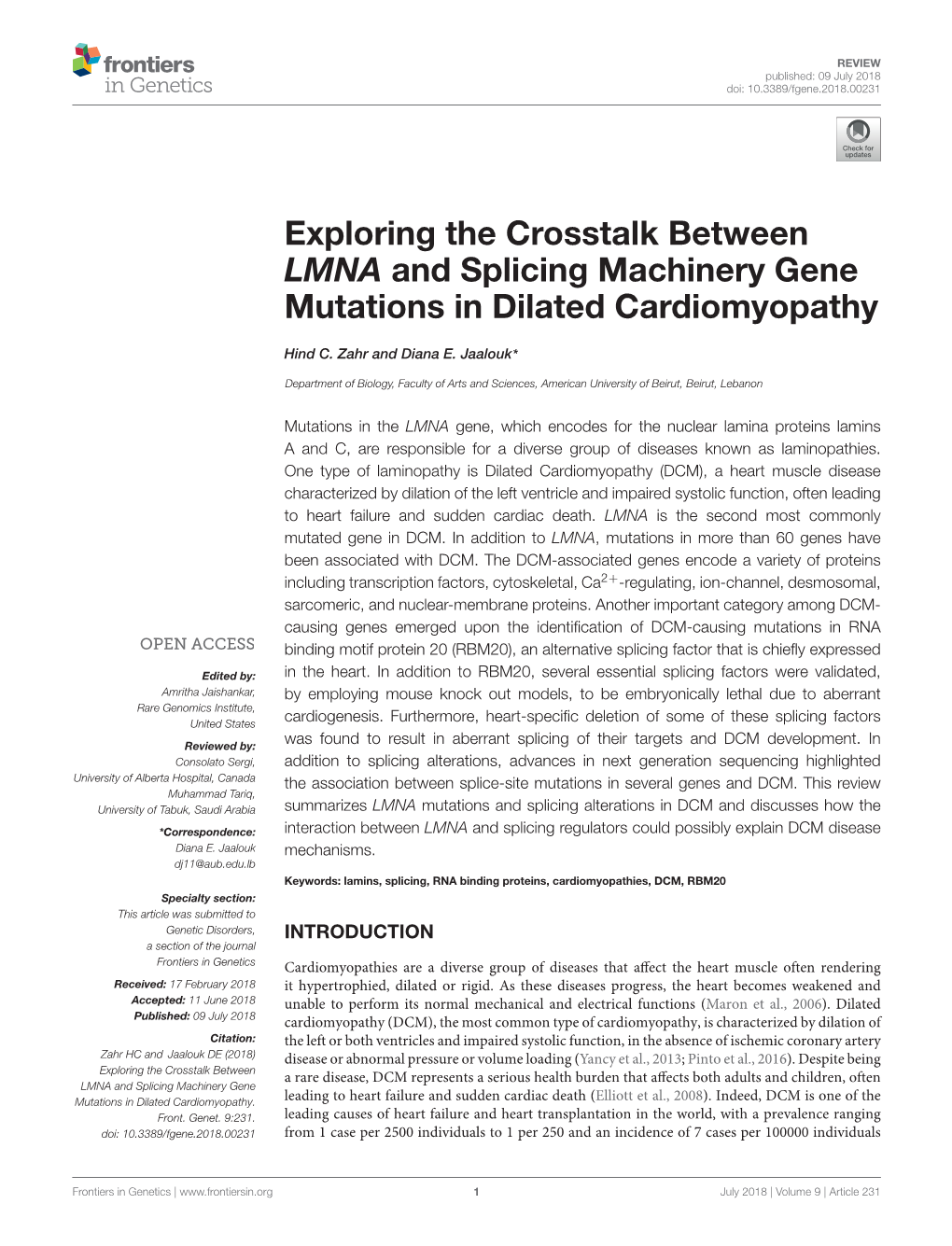 Exploring the Crosstalk Between LMNA and Splicing Machinery Gene Mutations in Dilated Cardiomyopathy
