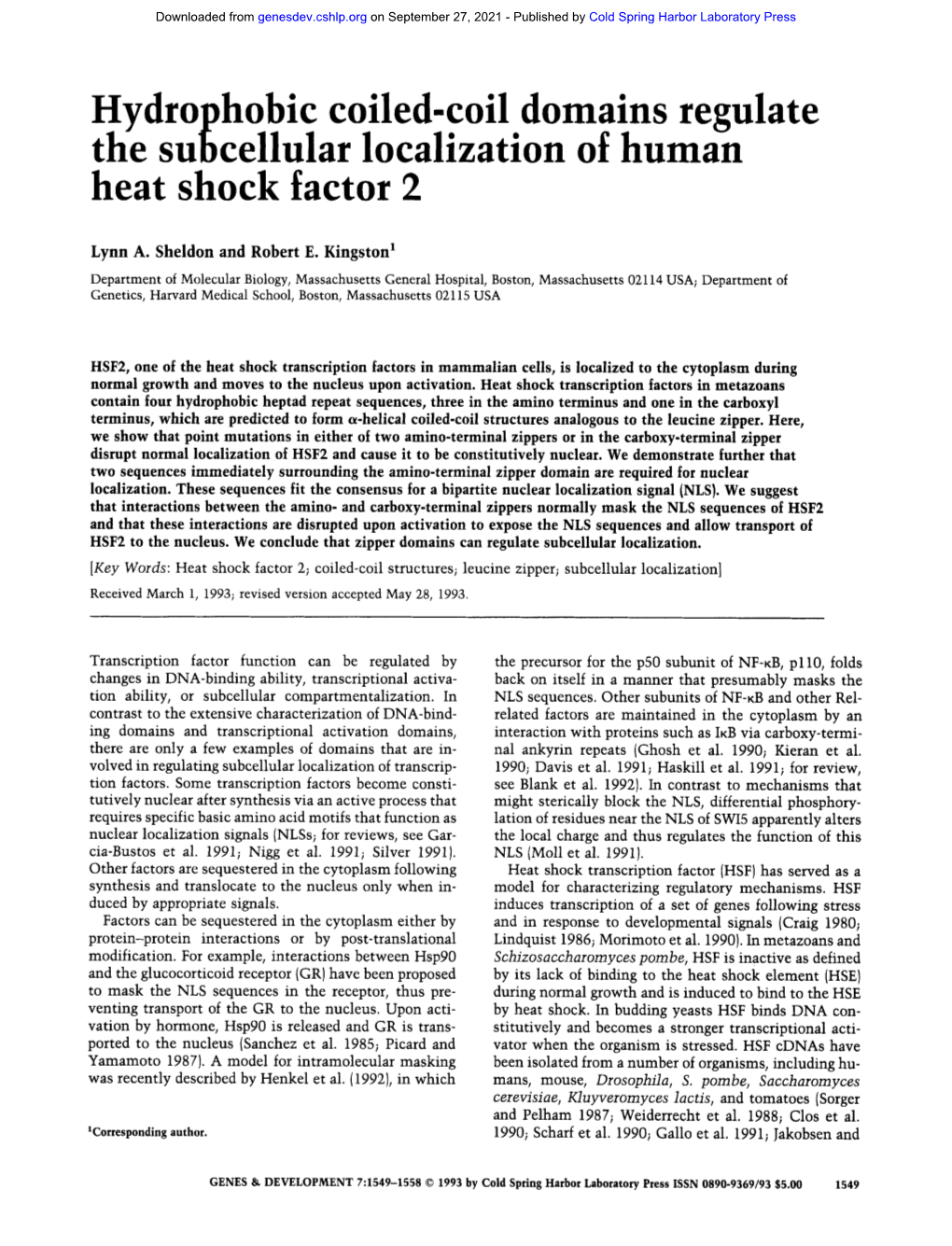 Hydrophobic Coiled-Coil Domains Regulate the Subcellular Localization of Human Heat Shock Factor 2