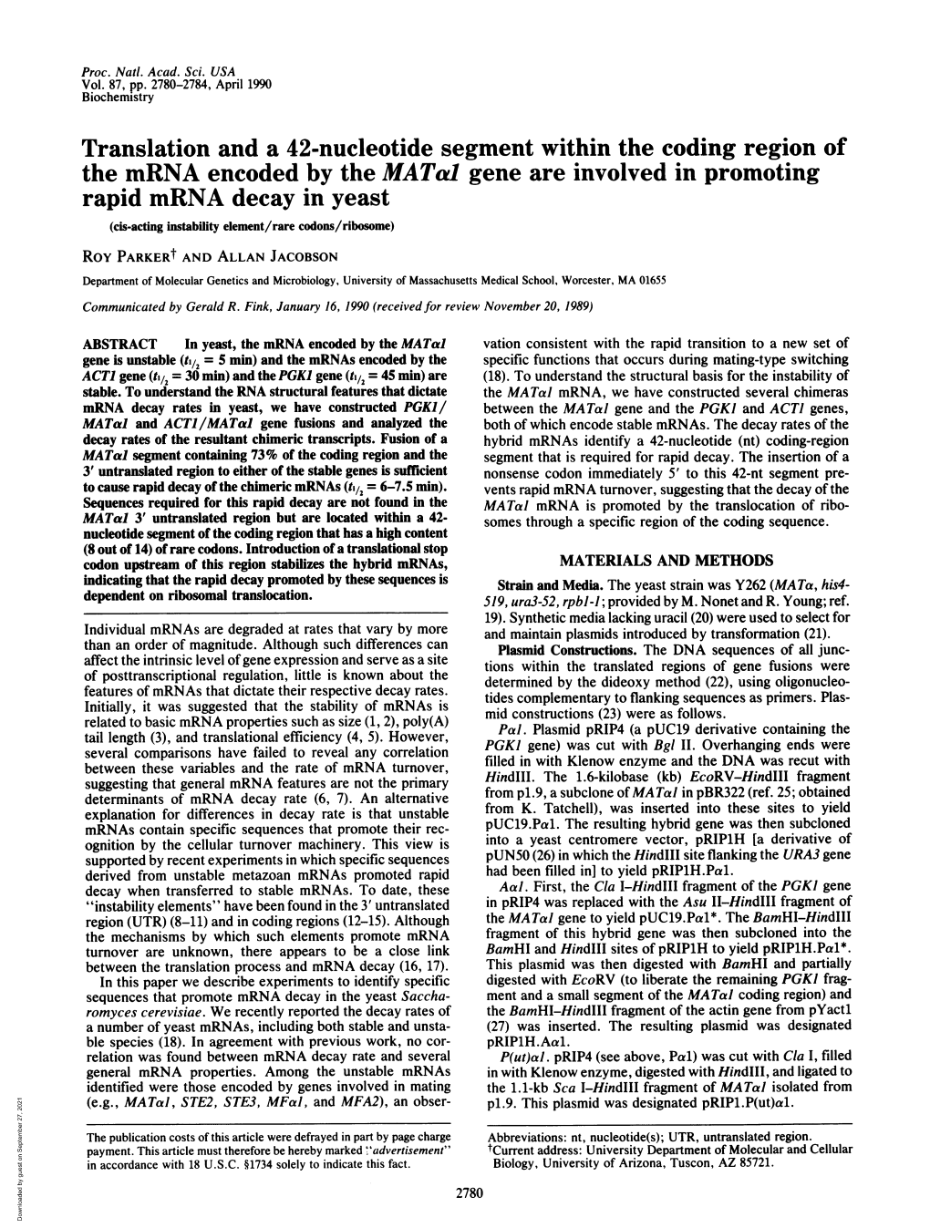 Translation and a 42-Nucleotide Segment Within the Coding Region Of