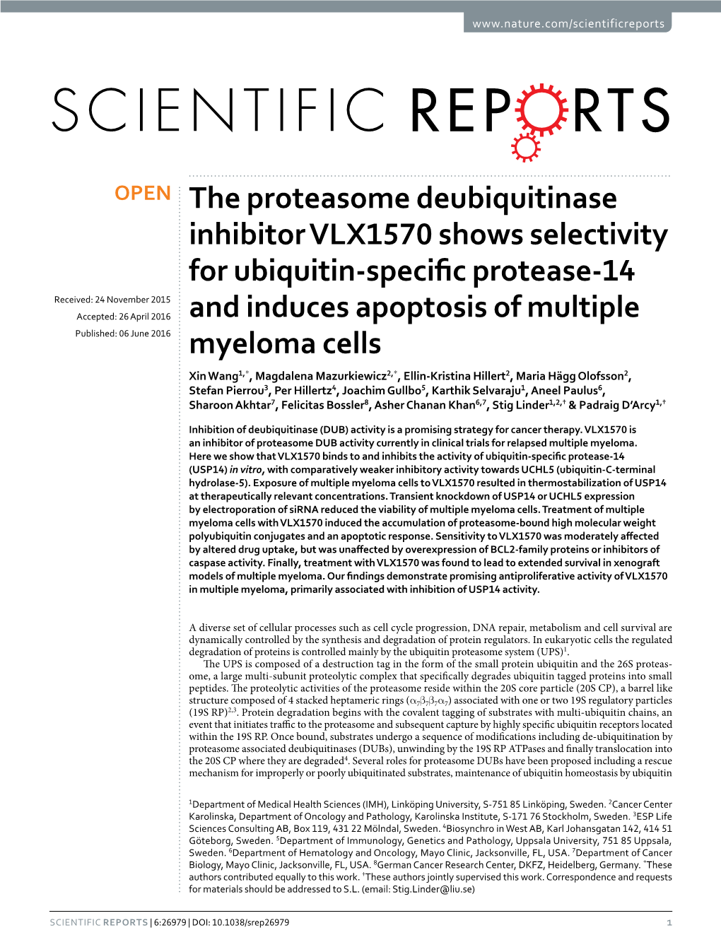 The Proteasome Deubiquitinase Inhibitor VLX1570 Shows Selectivity