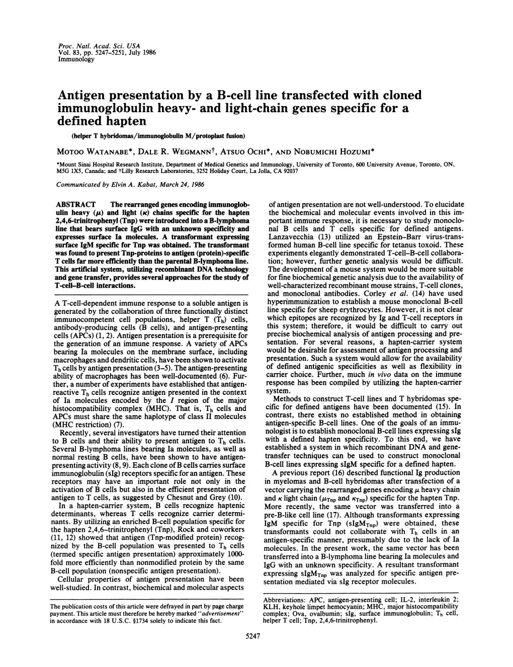 Defined Hapten (Helper T Hybridomas/Immunoglobulin M/Protoplast Fusion) MOTOO WATANABE*, DALE R