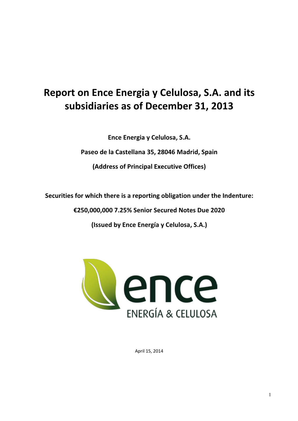 Report on Ence Energia Y Celulosa, S.A. and Its Subsidiaries As of December 31, 2013