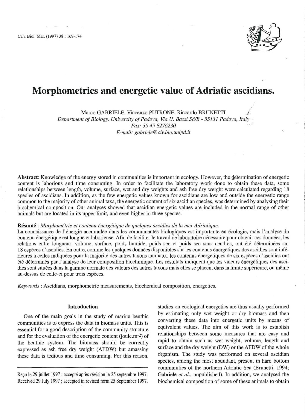 Morphometrics and Energetic Value of Adriatic Ascidians