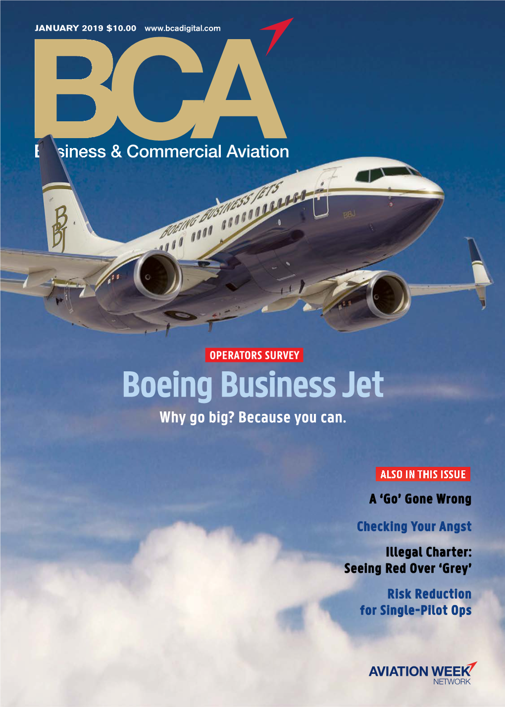 Business & Commercial Aviation