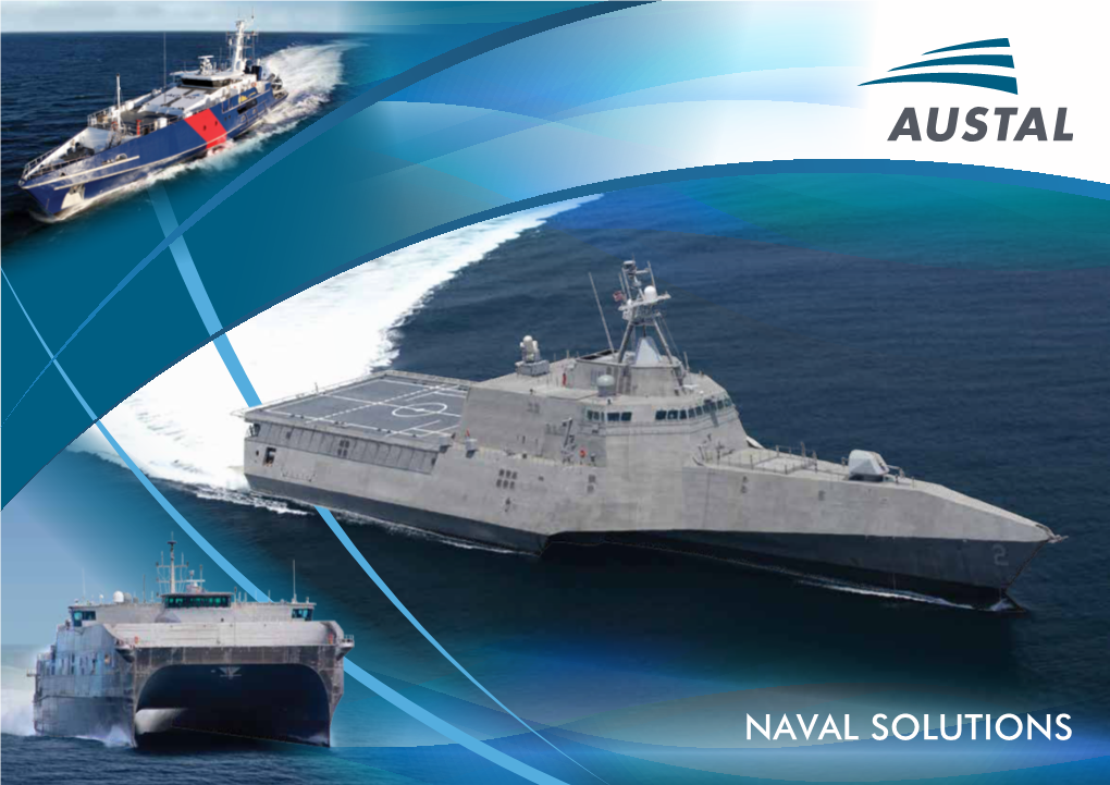Naval Solutions the Future of Near-Shore Maritime Security