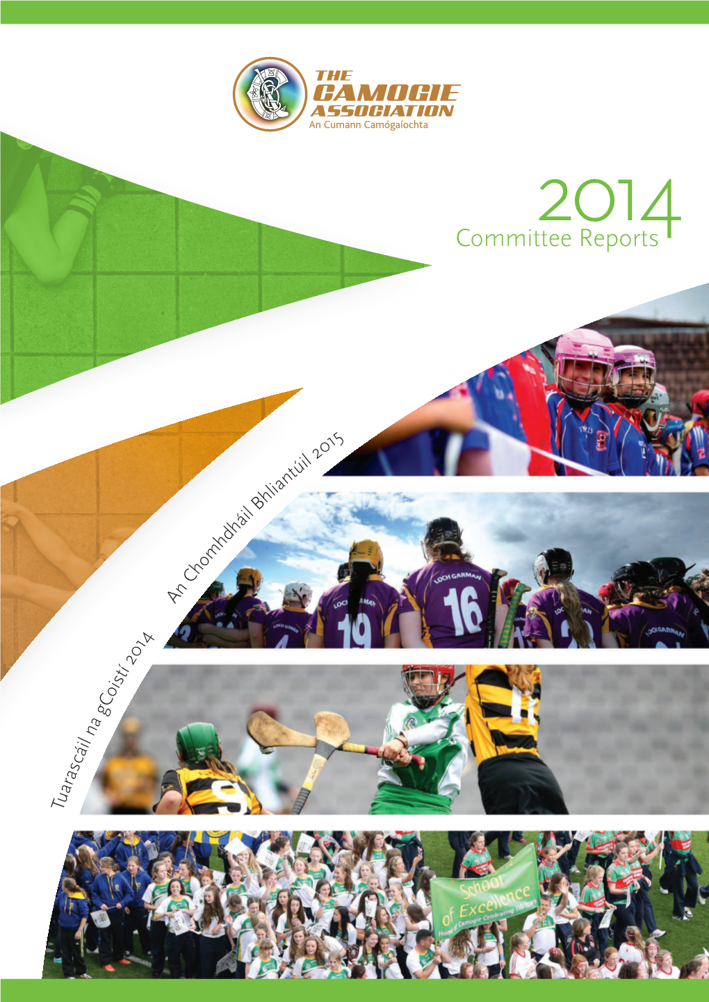 2015 Committee Reports