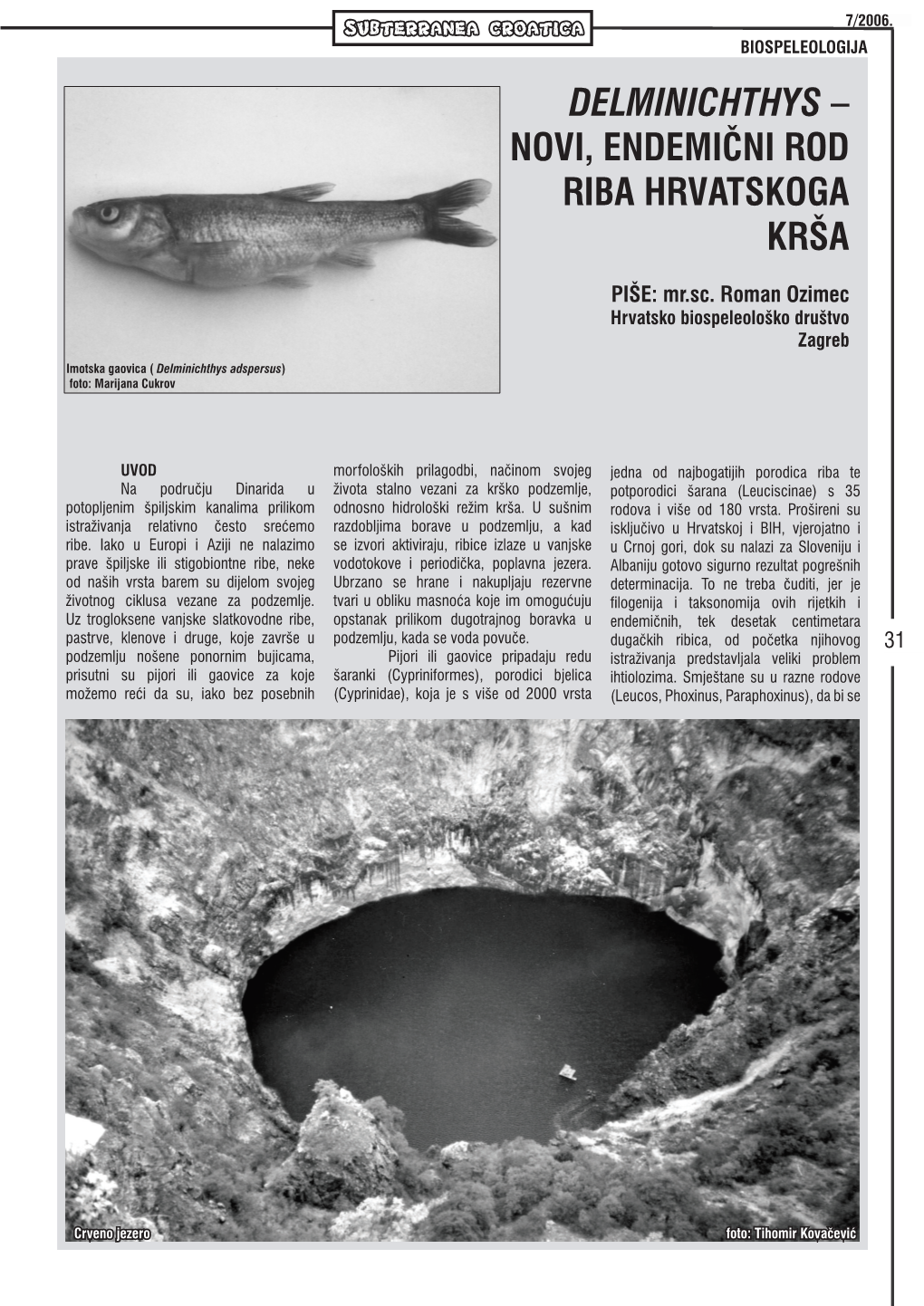 Delminichthys – Novi, Endemični Rod Riba