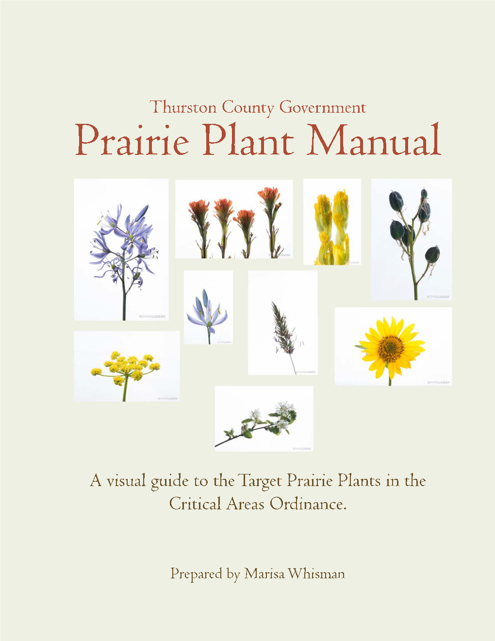 Prairie Plant Manual