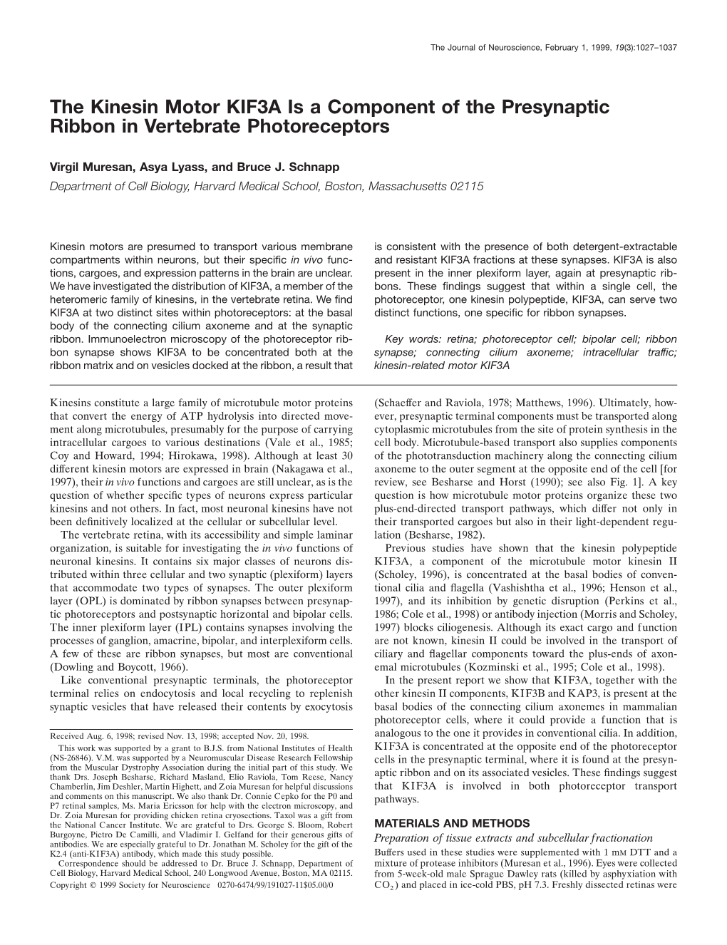 The Kinesin Motor KIF3A Is a Component of the Presynaptic Ribbon in Vertebrate Photoreceptors