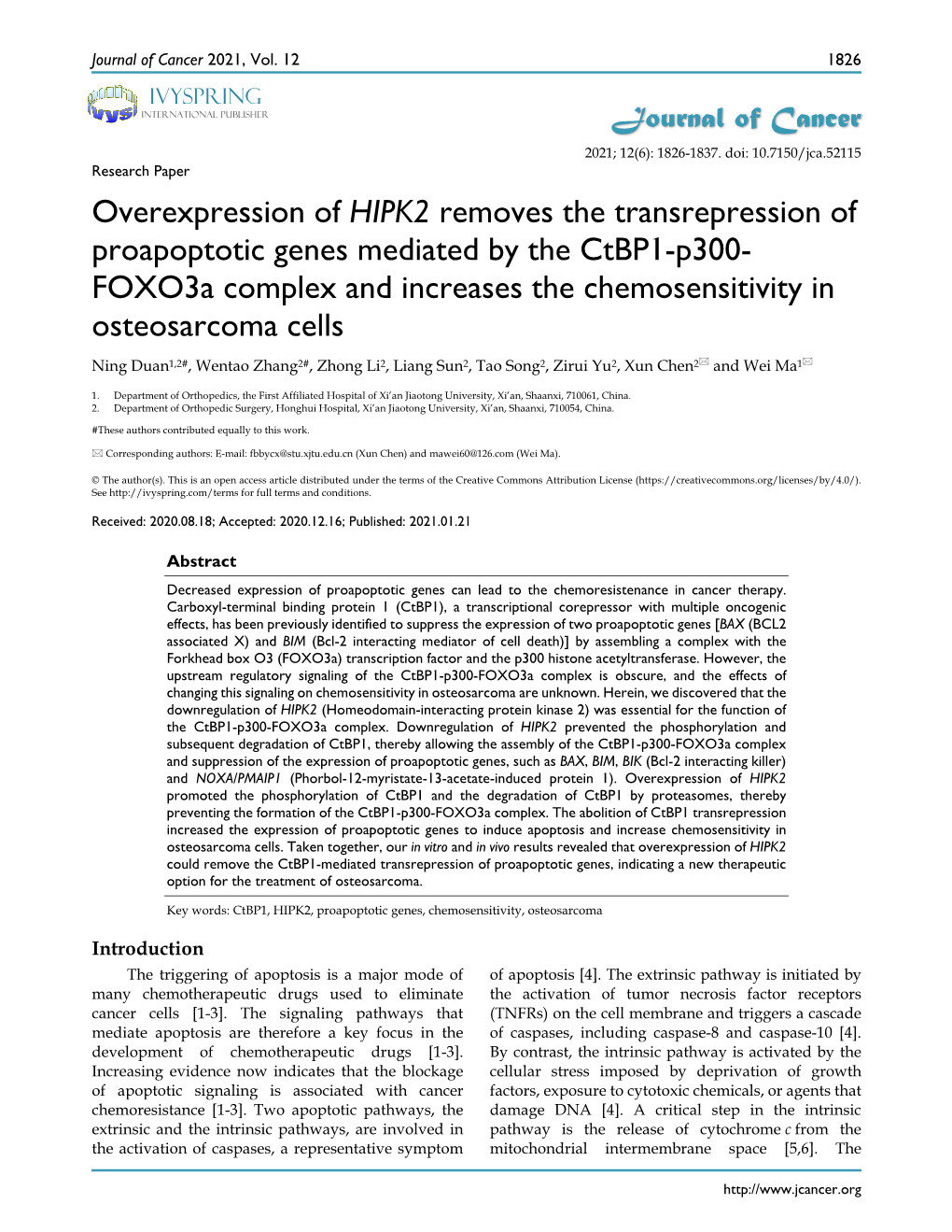 Overexpression of HIPK2 Removes the Transrepression of Proapoptotic Genes Mediated by the Ctbp1-P300