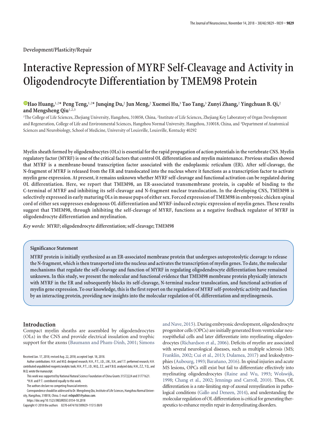 Interactive Repression of MYRF Self-Cleavage and Activity in Oligodendrocyte Differentiation by TMEM98 Protein