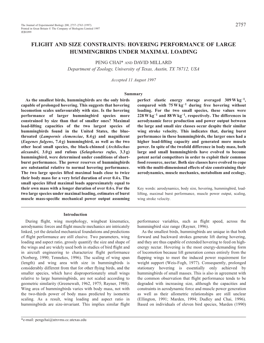 Flight and Size Constraints: Hovering Performance of Large Hummingbirds Under Maximal Loading