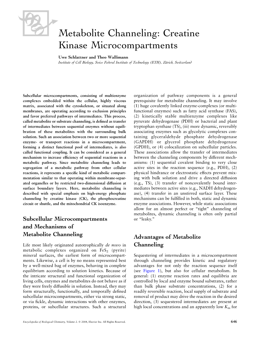 Metabolite Channeling: Creatine Kinase Microcompartments