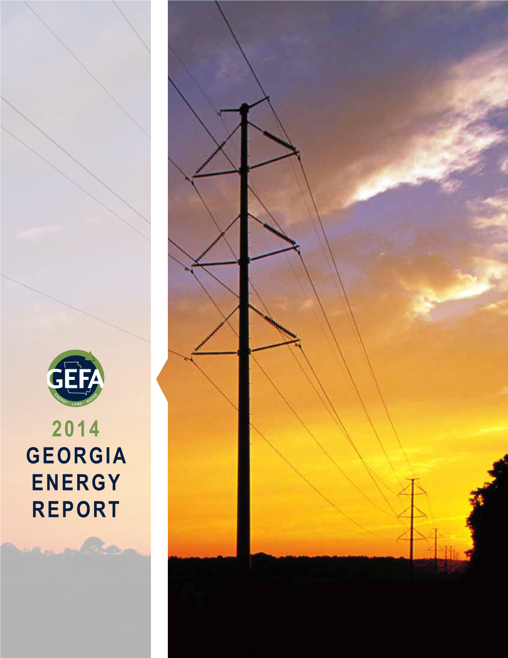2014 Georgia Energy Report 2014 Georgia Energy Report